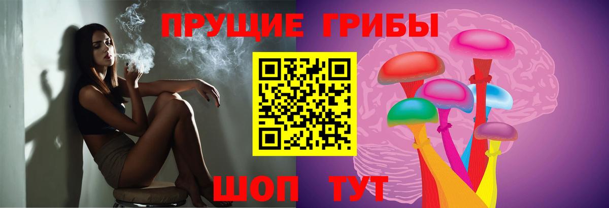 Димитровград  Галлюциногенные грибы MAGIC MUSHROOMS  Вход с VPN 